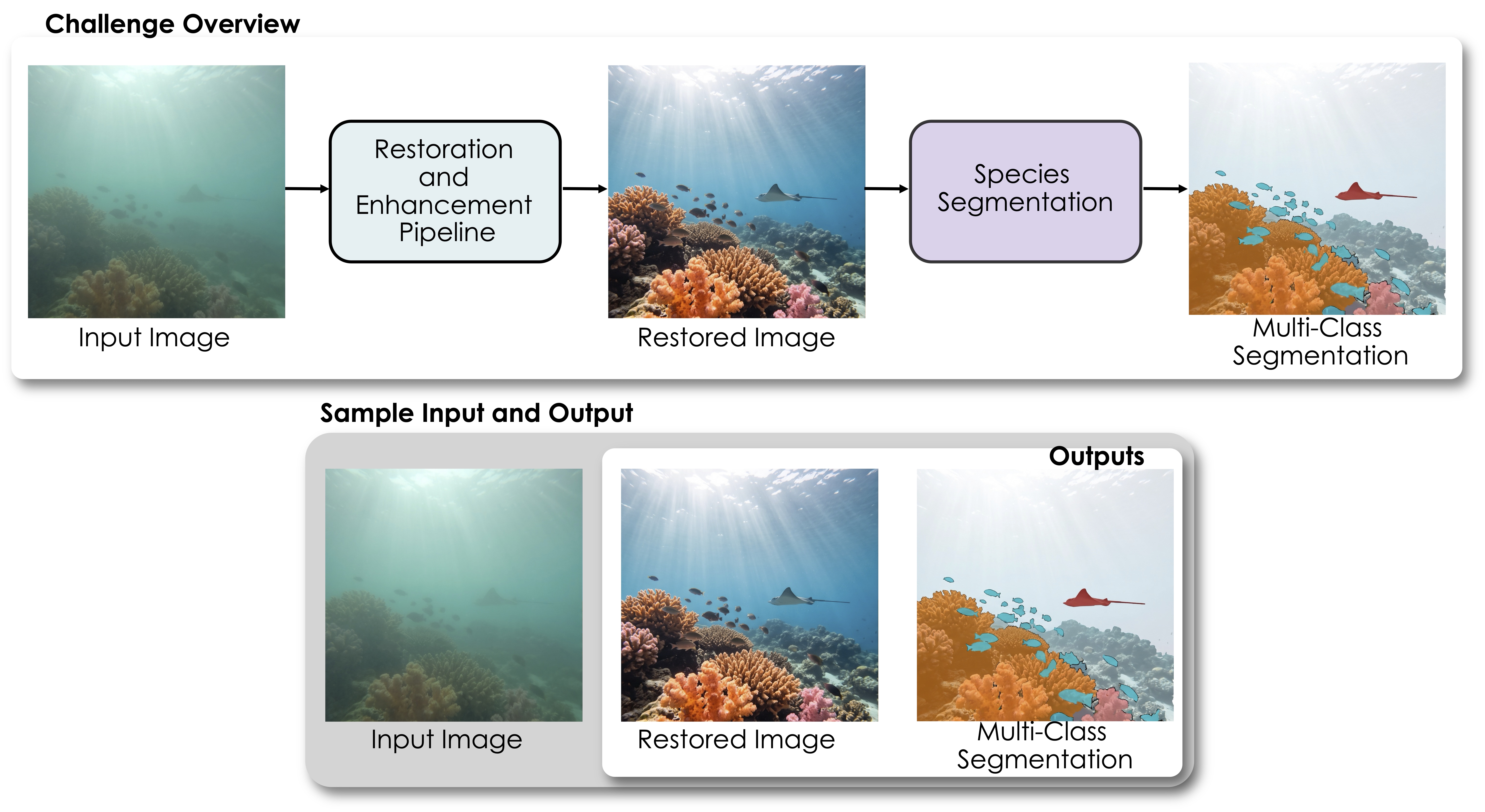 EURS pipeline combining underwater image restoration with marine-life segmentation.